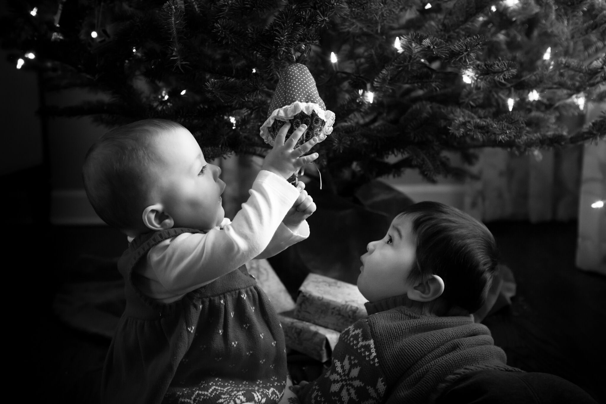 Take the Best Holiday Photos: 7 Success Stories From Bella Photographers