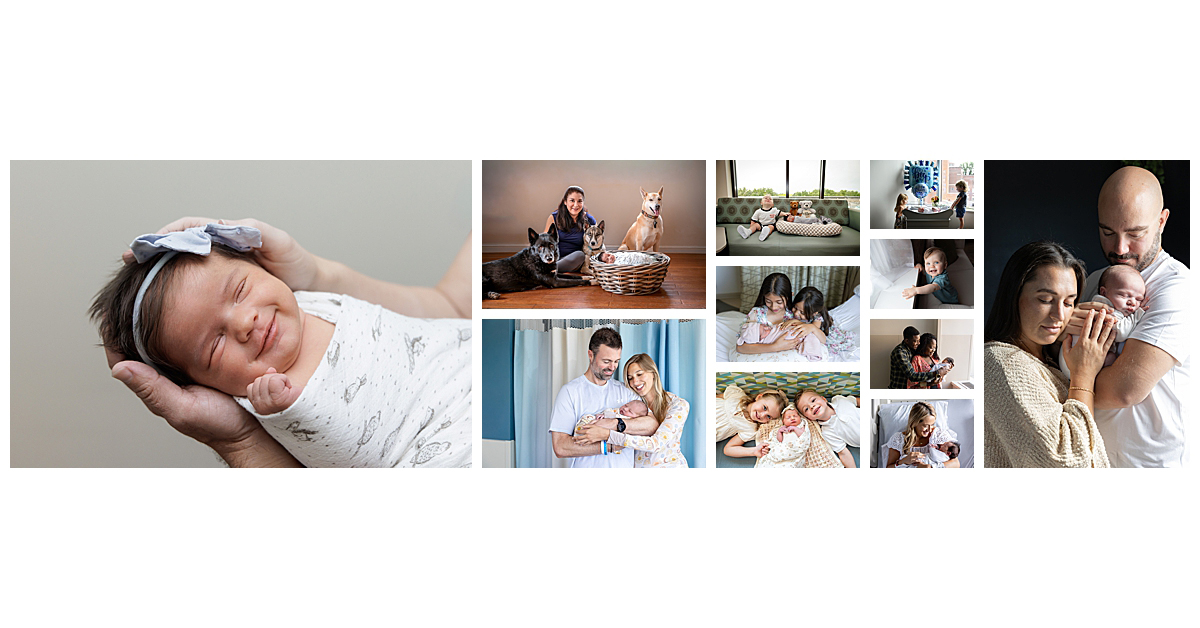 Collage of the winning images in the September & 3rd Quarter contests