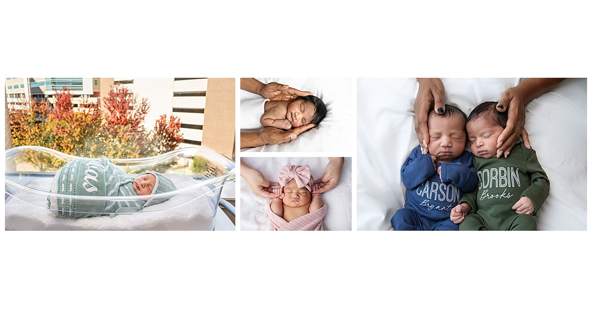 Collage of the winning images in the November 2025 contest